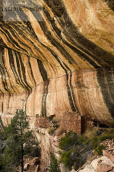 Indianerruinen im South Fork des Mule Canyon im Gebiet Cedar Mesa in Utah.