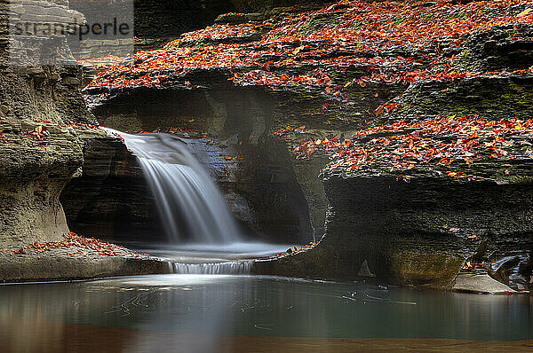 Wasserfall im Herbst  Buttermilk Falls State Park  New York