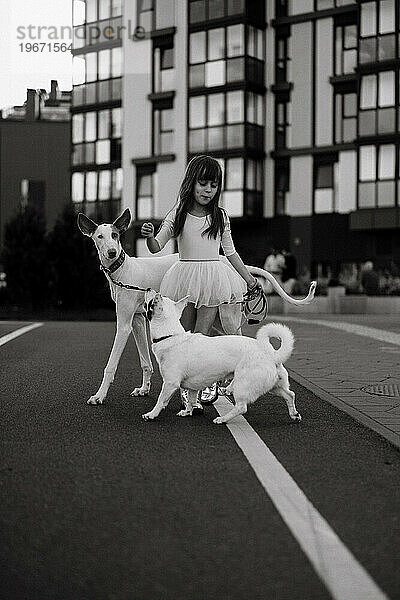 Mädchen mit weißen Hunden auf einem Spaziergang in der Stadt.