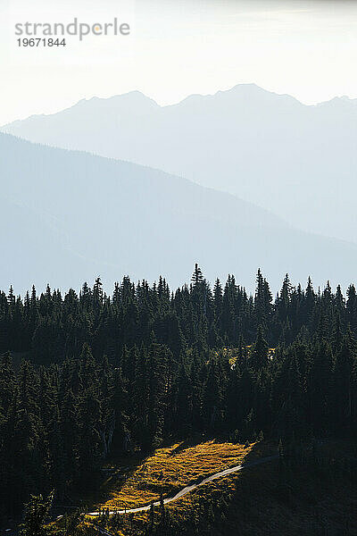 Berge des Hurricane Ridge im Olympic National Park.