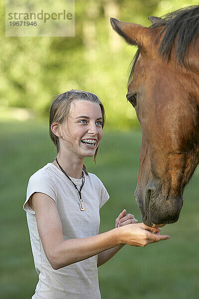 Ein junges Mädchen gibt ihrem Pferd in Madison  Connecticut  eine Belohnung.