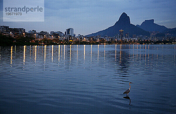 Lagoa Rodrigo de Freitas See  Rio de Janeiro  Brasilien.