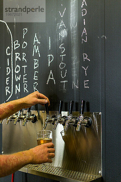 Ein Mann füllt ein Pint Bier in einer Brauerei in Enumclaw  Washington  USA.