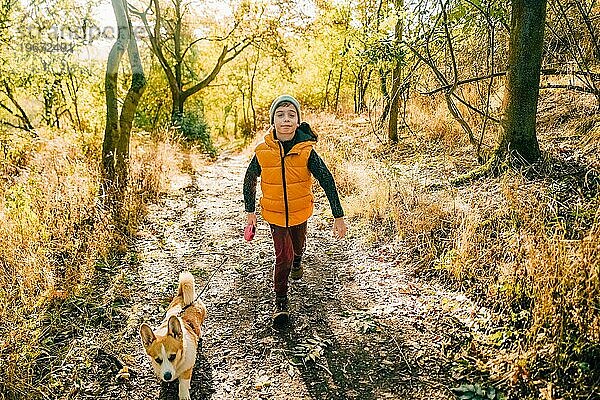 Ein Junge geht mit einem Corgi-Hund im Herbstwald spazieren