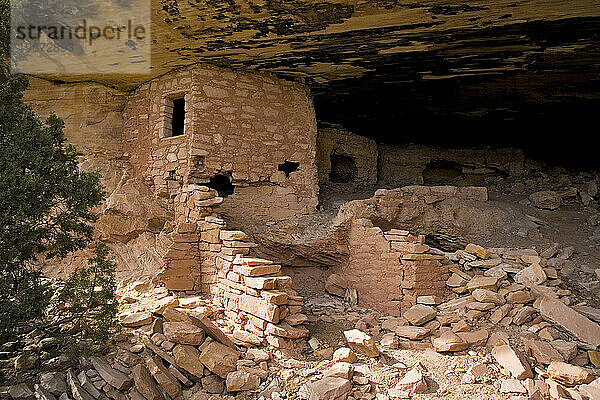 Indian ruins located on Comb Ridge at the Big Cave or 'Fish Mouth Cave' area in Utah.