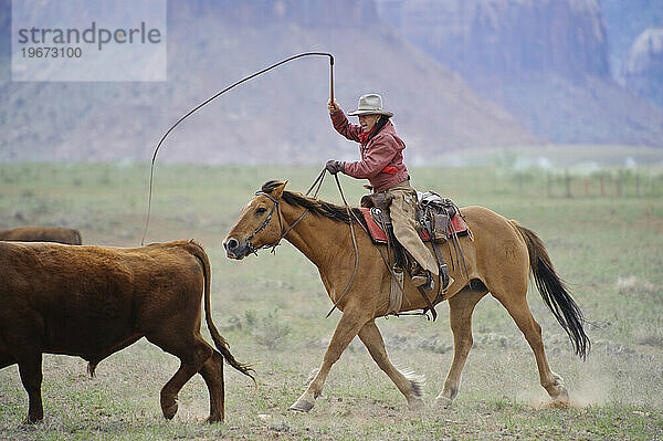 Viehtrieb auf einer Ranch neben dem Canyonlands NP  UT