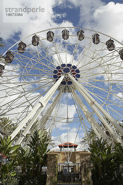 Ein Riesenrad in einem Vergnügungspark.