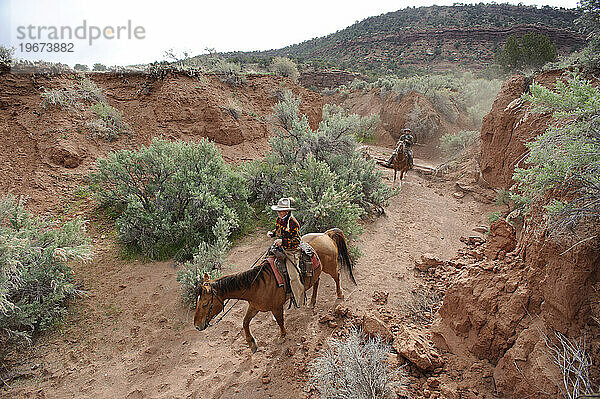 Viehzucht  neben Canyonlands NP  UT.