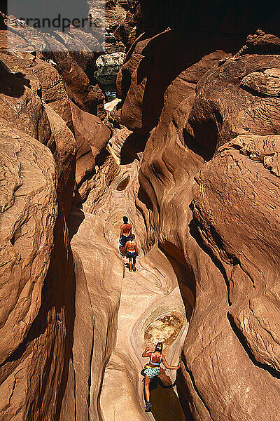Drei Personen wandern den Desert Canyon hinunter  Grand Canyon  Arizona