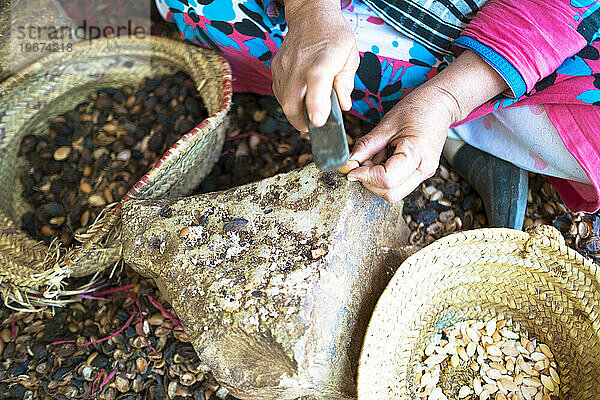 Hochwinkelaufnahme einer Berberfrau  die Arganöl aus den Kernen des Arganbaums extrahiert