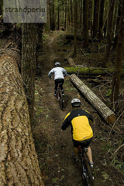 Zwei Mountainbiker fahren auf einem Singletrail durch den Wald.