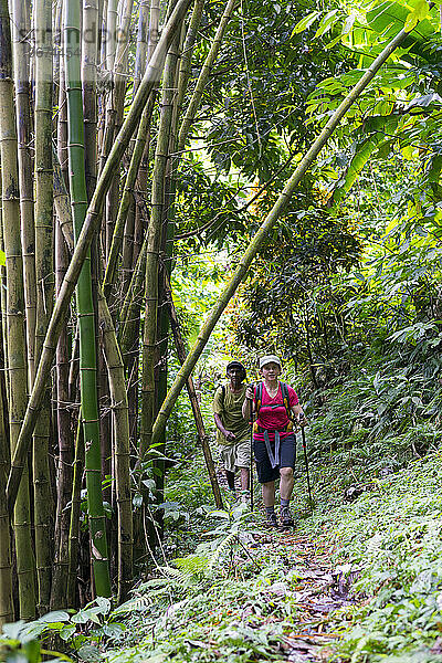 Eine Frau und ihr Führer wandern Abschnitt 3 des Waitukubuli National Trail auf der Karibikinsel Dominica.