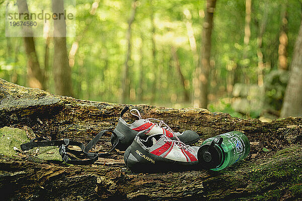 Kletterschuhe und Wasserflasche auf Baumstamm mit goldenem Licht  das im Herbst durch den Wald strahlt  High Cliff State Park  Wisconsin  USA