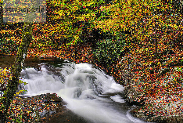 Great-Smoky-Mountains-Nationalpark