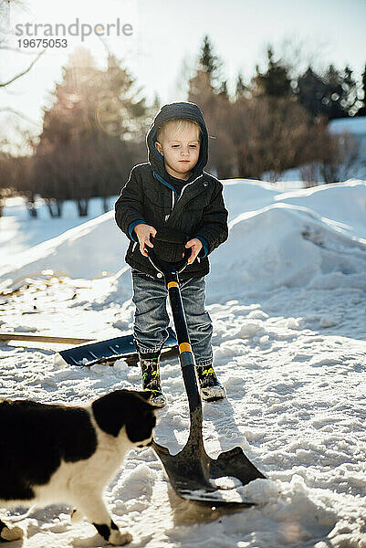 Vorderansicht eines kleinen Jungen  der im Schnee schaufelt  während die Katze damit spielt