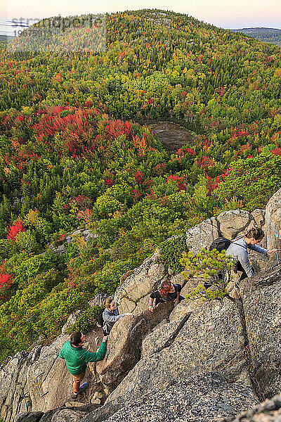 Seitenansicht von Menschen  die im Herbst im Acadia-Nationalpark  Maine  USA  auf den Bienenstock klettern