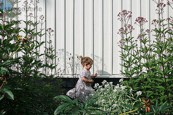 Kleines Mädchen  das an einem sonnigen Tag glücklich durch Blumen spaziert