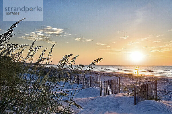 Seehafer und kleine Strandzäune werden bei Sonnenaufgang an einem Strand auf Hilton Head Island  SC  beleuchtet.