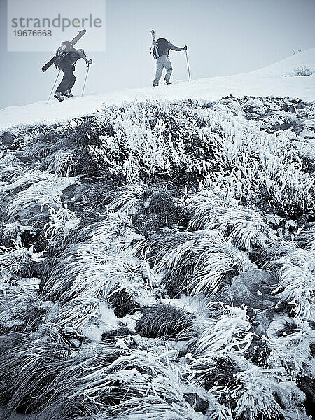 Zwei Personen wandern mit Skiausrüstung einen verschneiten Bergrücken hinauf.