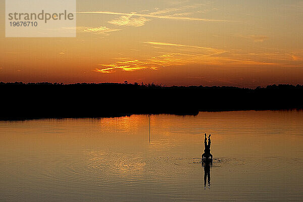 Silhouette eines Mannes  der im Abendlicht einen Kopfstand auf einem Stand-Up-Paddleboard macht  während sich Bäume im Wasser spiegeln.