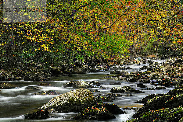 Great-Smoky-Mountains-Nationalpark