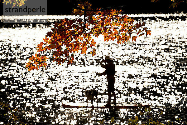 Herbstfarben und unscharfer Mann auf einem Stand-Up-Paddle-Board mit Hund.