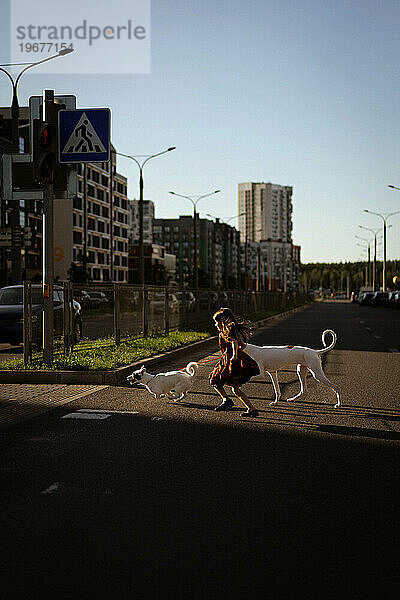 Ein Mädchen mit Hunden überquert die Straße.