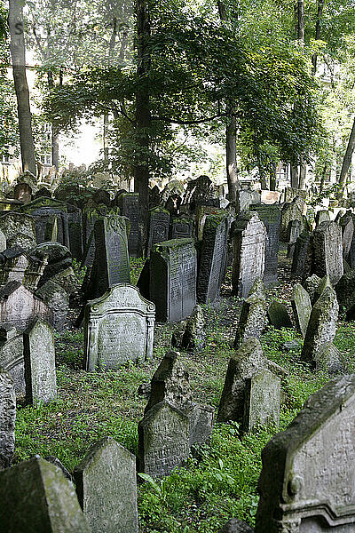 Der alte jüdische Friedhof  Josefov  Prag  Tschechische Republik.