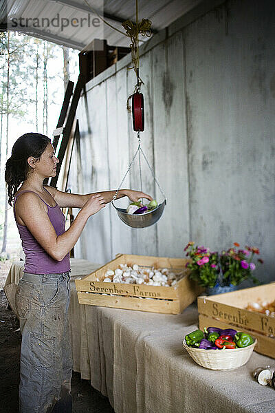 Ein junges Mädchen wiegt Gemüse auf einem Biobauernhof außerhalb von Atlanta  GA.