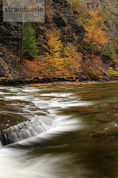 Taughannock Creek im Herbst  Taughannock Falls State Park