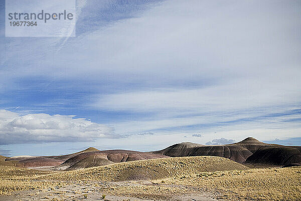 Ein Landschaftsbild der Wüste in New Mexico.