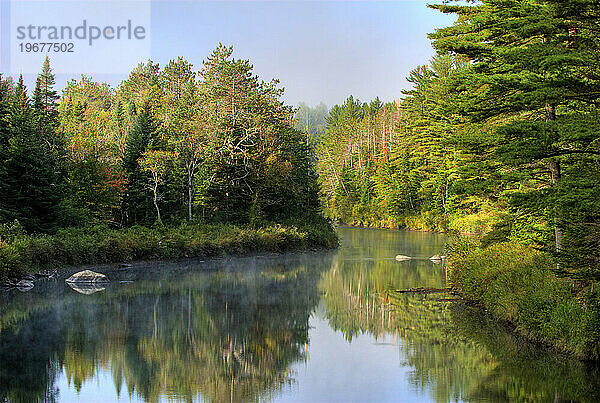 Morgen am Westarm des Ausable River  Adirondack Park  New York  USA