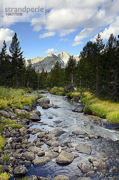 Ein Blick auf einen Bach im French Canyon auf der Sierra High Route  Kalifornien.