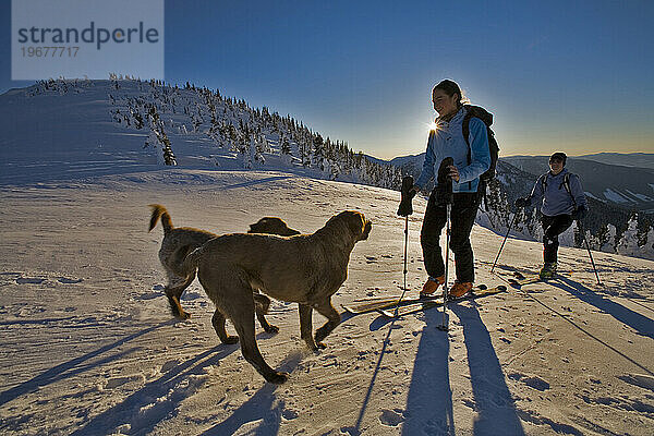 Hunde und Menschen beim Skitourengehen  British Columbia  Kanada