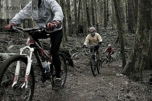 Zwei Mountainbiker fahren auf einem Singletrail durch den Wald.