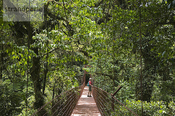 Wanderer steht auf einer Hängebrücke im Monteverde Cloud Forest Preserve in Costa Rica