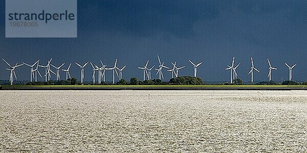Viele Windkraftanlagen in der Marschlandschaft  Norddeich  Norden  Ostfriesland  Niedersachsen  Deutschland  Europa