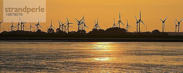 Wattlandschaft und viele Windkraftanlagen in der Marschlandschaft  Nordsee  Norddeich  Norden  Ostfriesland  Niedersachsen  Deutschland  Europa