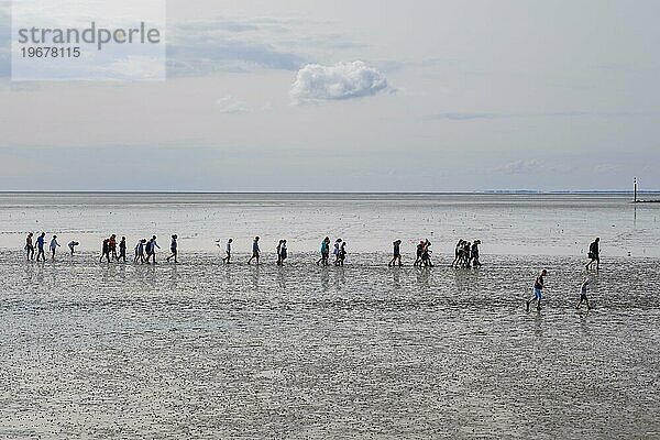 Eine Gruppe von Schülern bei einer Wattwanderung im Nationalpark Wattenmeer  Ebbe  Norddeich  Norden  Ostfriesland  Niedersachsen  Deutschland  Europa