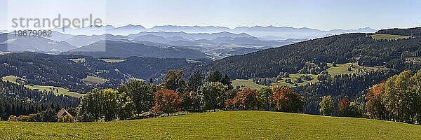 Blick von Waitschach in Richtung Karawanken  Kärnten  Österreich  Europa
