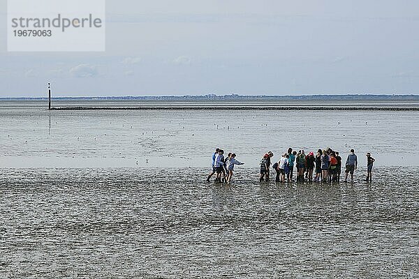 Eine Gruppe von Schülern bei einer Wattwanderung im Nationalpark Wattenmeer  Ebbe  Norddeich  Norden  Ostfriesland  Niedersachsen  Deutschland  Europa