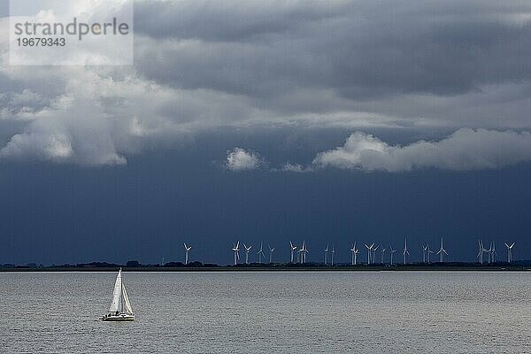 Segelboot auf der Nordsee vor Windkraftanlagen am Festland  Norddeich  Norden  Ostfriesland  Niedersachsen  Deutschland  Europa