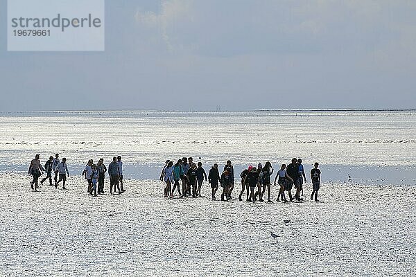 Eine Gruppe von Schülern bei einer Wattwanderung im Nationalpark Wattenmeer  Ebbe  Norddeich  Norden  Ostfriesland  Niedersachsen  Deutschland  Europa