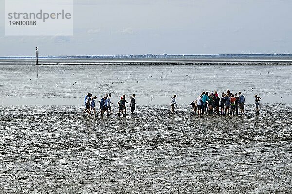 Eine Gruppe von Schülern bei einer Wattwanderung im Nationalpark Wattenmeer  Ebbe  Norddeich  Norden  Ostfriesland  Niedersachsen  Deutschland  Europa