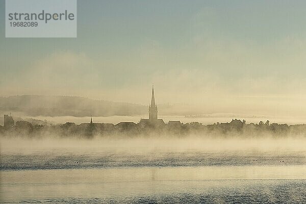 Frühnebel zieht über den Bodensee  am Horizont die Silhouette der Altstadt mit dem Radolfzeller Münsterturm  Landkreis Konstanz  Baden-Württemberg  Deutschland  Europa