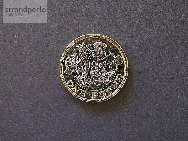 1 Pfund Münze  Großbritannien  Europa