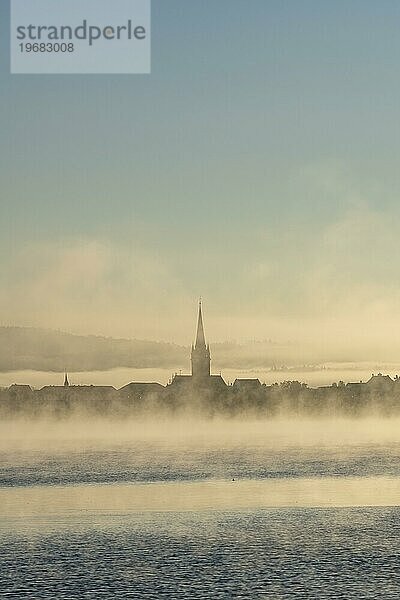 Frühnebel zieht über den Bodensee  am Horizont die Silhouette der Altstadt mit dem Radolfzeller Münsterturm  Landkreis Konstanz  Baden-Württemberg  Deutschland  Europa