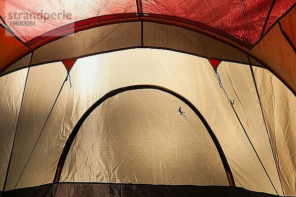 Eine Eidechse Silhouette auf der Innenseite eines Tageslicht beleuchtet Campingzelt geworfen