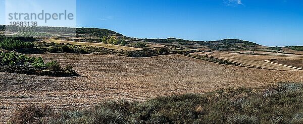 Herbstlich-trockene Landschaft Altos de la gloria nördlich von Burgos  Nähe Quintanilla Vivar  Provinz Burgos  Kastilien-León  Spanien  Feld  Landwirtschaft  blauer Himmel  Europa