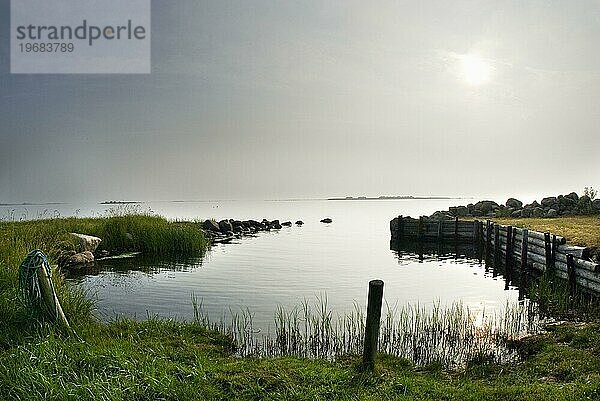 Küstenlandschaft in der Morgensonne  Meer  Ostsee  Skandinavien  in Bergkvara  Schweden  Europa